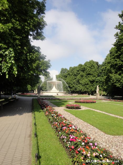 Postcard The Saxon Garden