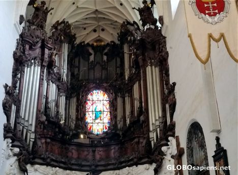Postcard Famous organ in Oliva cathedral