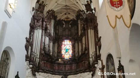 Postcard Famous Oliva organ