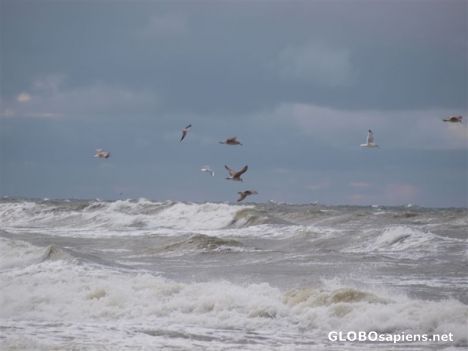 Postcard Baltic waves
