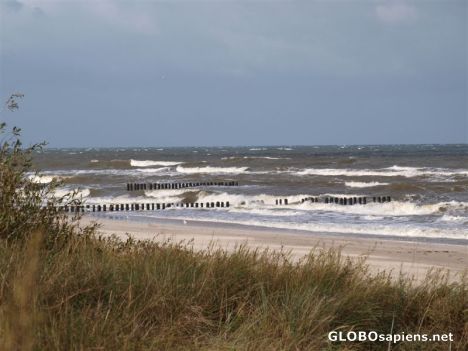 Postcard Autumn beach