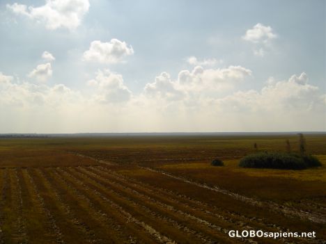 Postcard Biebrza marshes, autumn, Poland