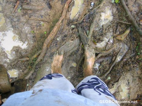 Postcard going barefoot
