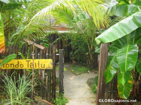 Postcard Monda Taitu