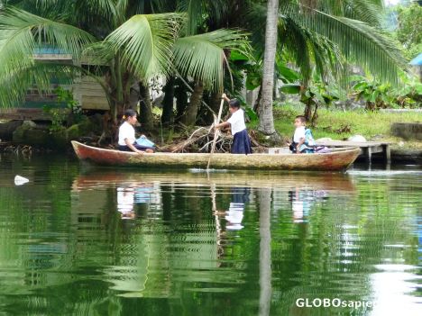 Postcard Rural school bus...I mean boat