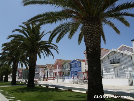 Postcard Costa Nova - Aveiro