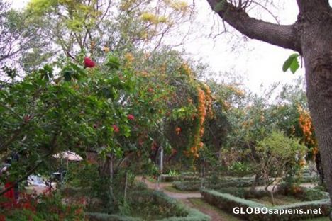 Postcard Castle garden 1