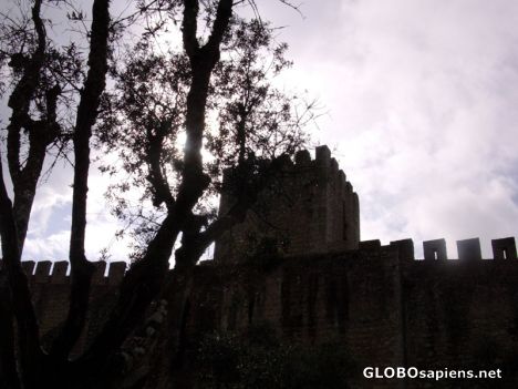 Postcard The wall of Obidos after the rain