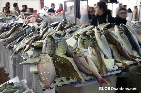 Postcard Fish market scene