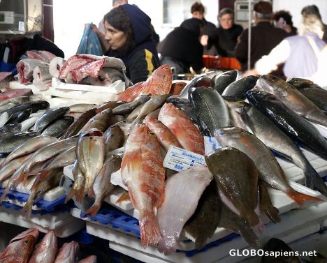 Postcard Delicious Fresh Fish