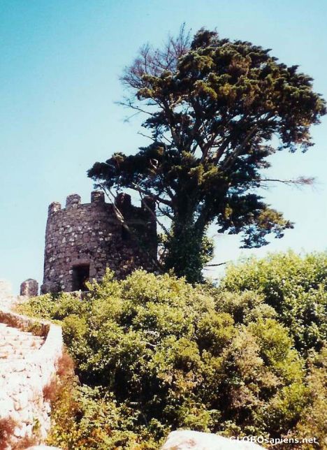 Postcard Sintra