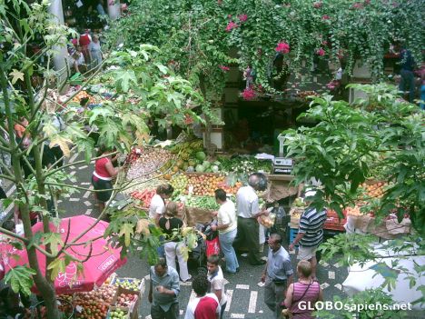 Postcard Market Funchal