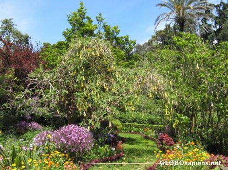 Postcard Blandy's Gardens 4