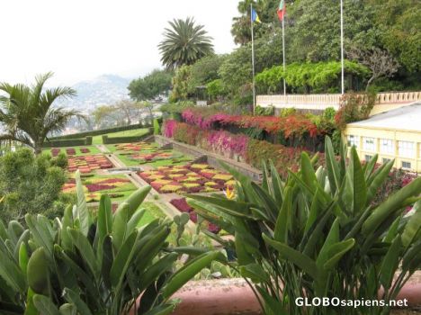 Postcard Botanical gardens 2