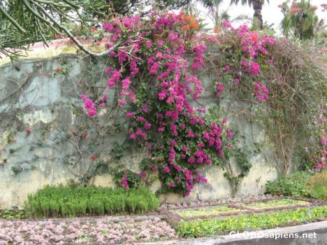Postcard Botanical Gardens 6