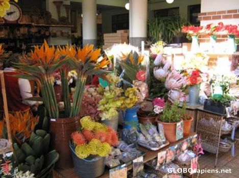 Postcard Mercado - flowers