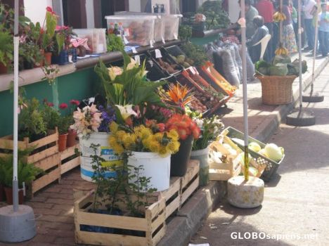 Postcard Sunday market 3