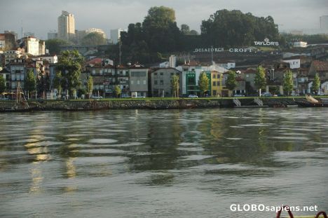 Postcard View of Gaia, in front of Oporto