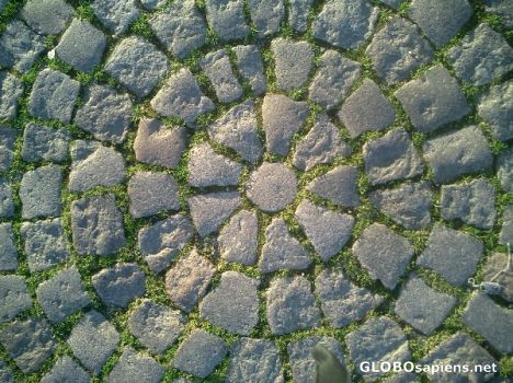 Postcard Ornamented floor