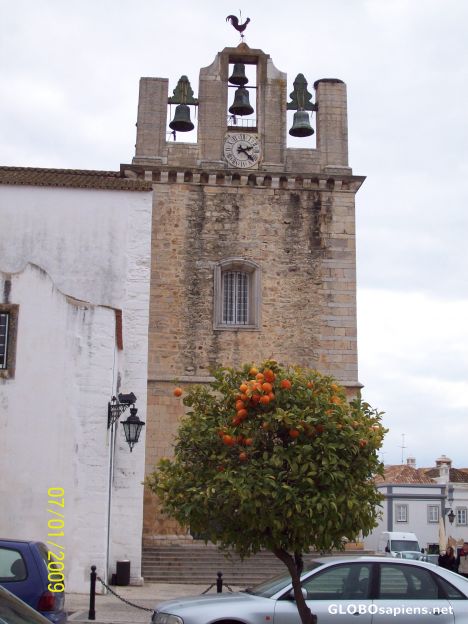 Postcard Orange tree
