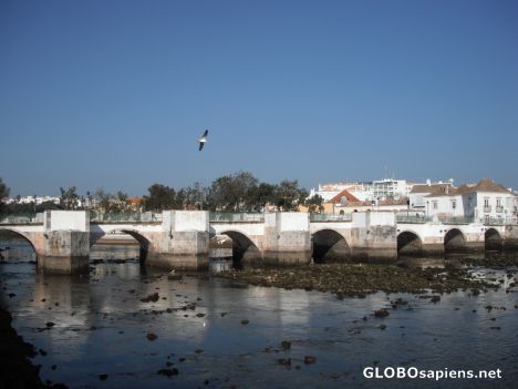 Postcard Roman Bridge