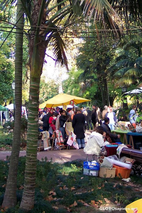 Postcard Jardim da Estrela