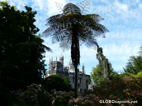 Postcard Quinta da Regaleira