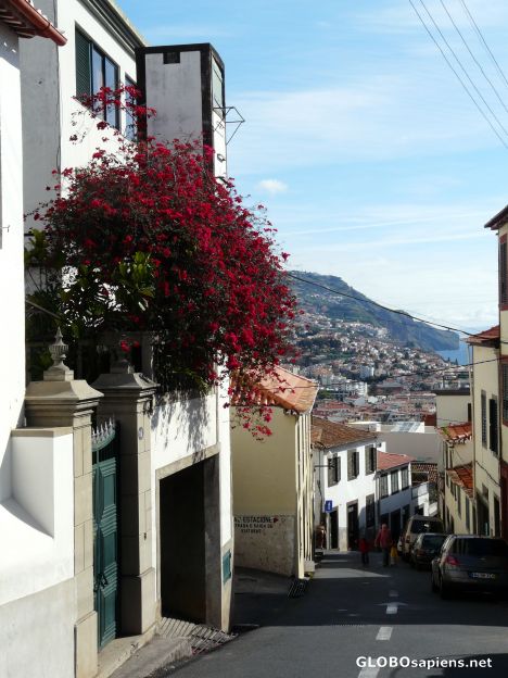 Postcard A steep street