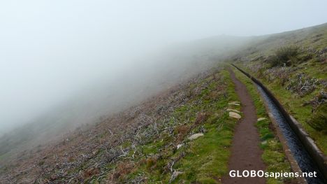 Postcard Entering the fog