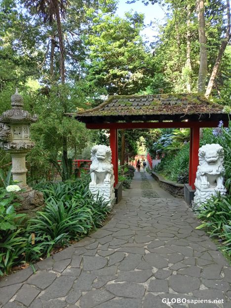 Postcard Oriental Garden