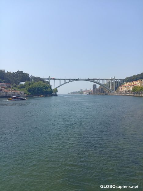 Postcard The Douro