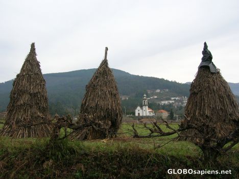 Portuguese village on the Camino