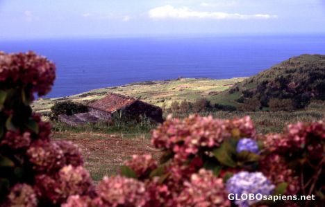Postcard Pico Island - End of Europe? -