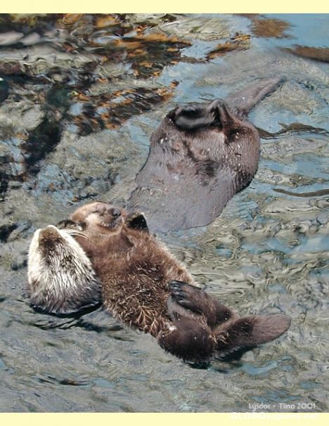 Postcard MOM & CUTE BABY