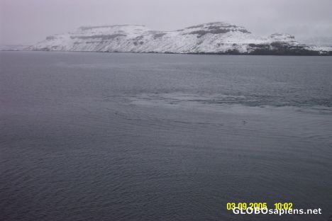 Postcard French Antarctica. Snow in Amsterdam Island