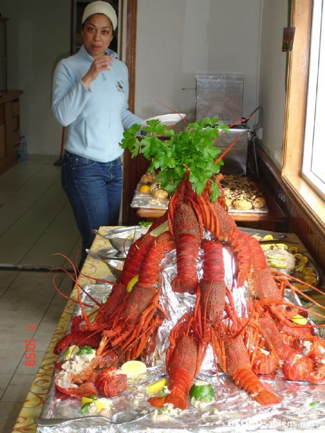Postcard French Antarctica. Lobsters in Amsterdam