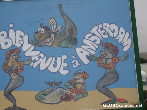 Postcard Welcome to Amsterdam Island!