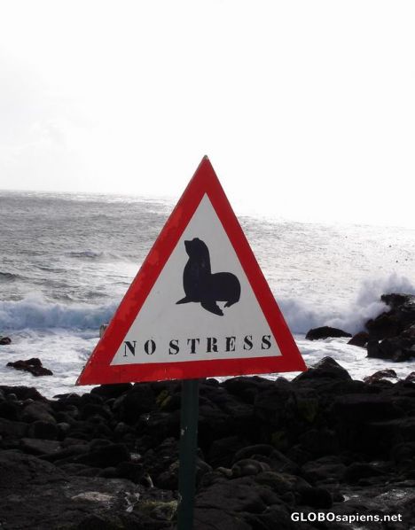 Postcard French Antarctica. Pls, no stress in Antarctica!!!