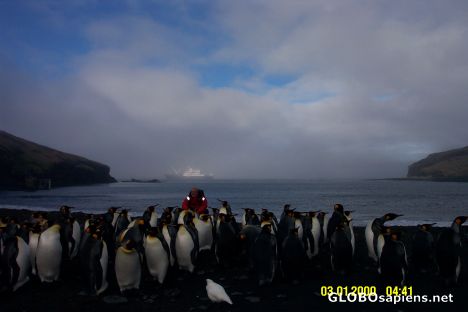 Postcard Penguins and our boat