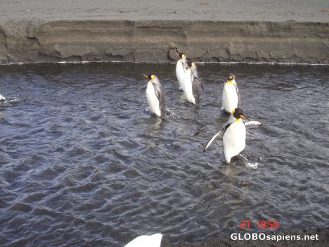 Postcard Four friends crossing a river