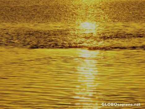 Golden Sea