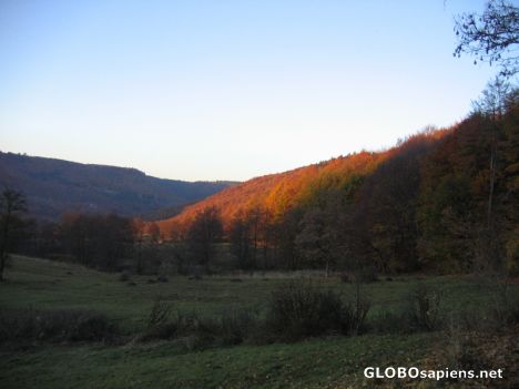 Postcard colours of the fall