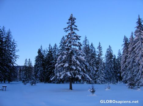 Postcard solitair