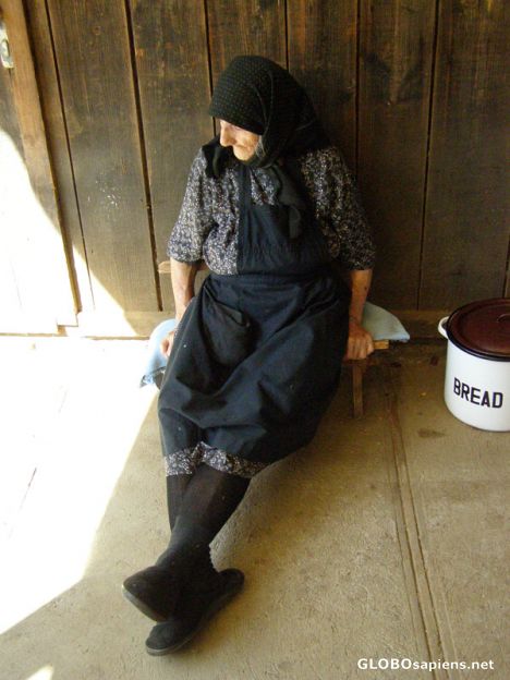 Postcard Our daily bread?