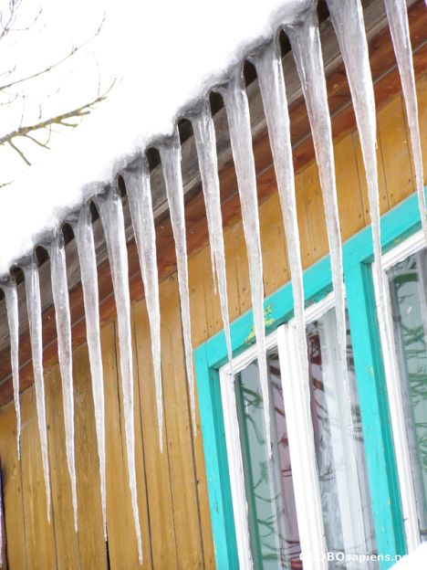 Postcard Ice organ
