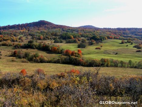 (Legends of the) Fall in Transsylvania