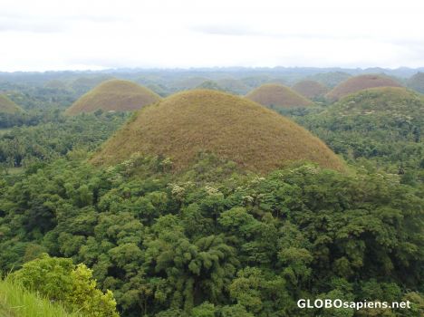Postcard chocolate hills
