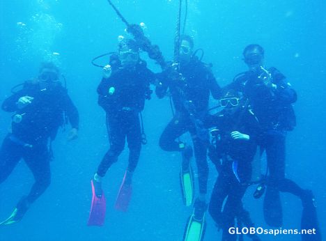 Postcard dive instructions