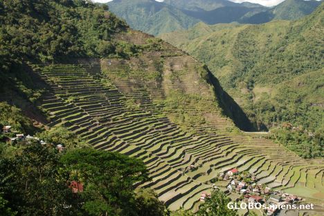 Batad rice terraces