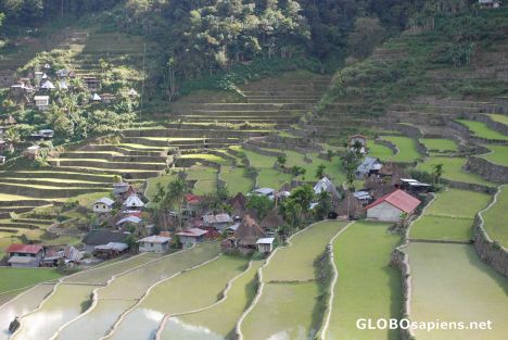 Postcard Batad village